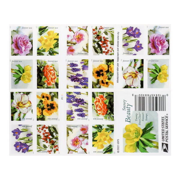 2022 First-Class Forever Stamp （forever stamp ） – Snowy Beauty： Winter Aconite - Image 3
