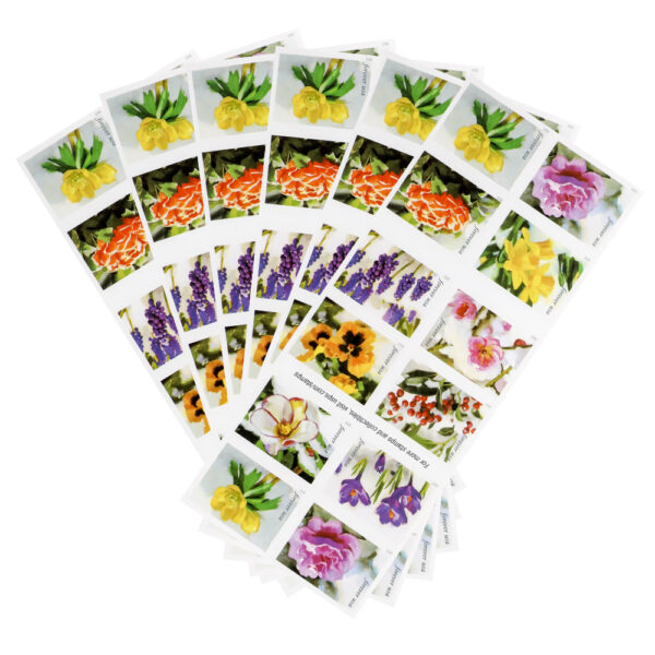 2022 First-Class Forever Stamp （forever stamp ） – Snowy Beauty： Winter Aconite - Image 5