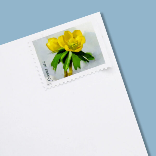 2022 First-Class Forever Stamp （forever stamp ） – Snowy Beauty： Winter Aconite - Image 6