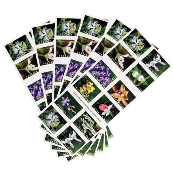 U.S. 2021 Wild Orchids Framed Forever Stamps - Image 3