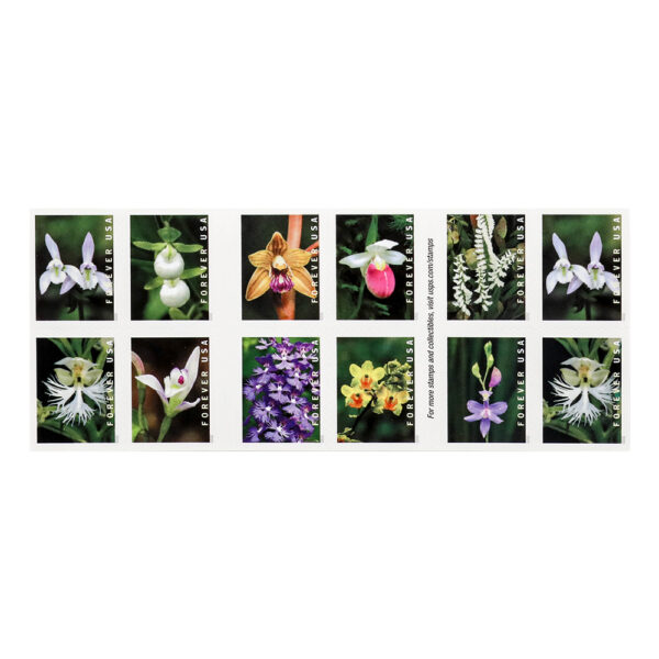 U.S. 2021 Wild Orchids Framed Forever Stamps - Image 6