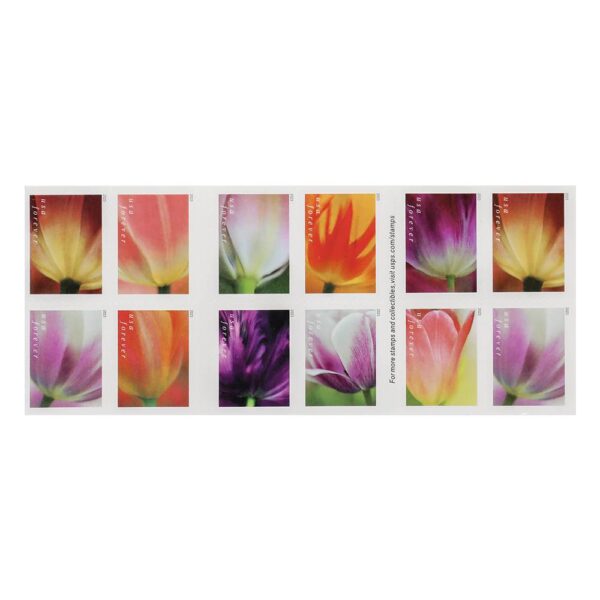 2023 US First-Class Forever Stamps – Tulip Blossoms booklet - Image 2