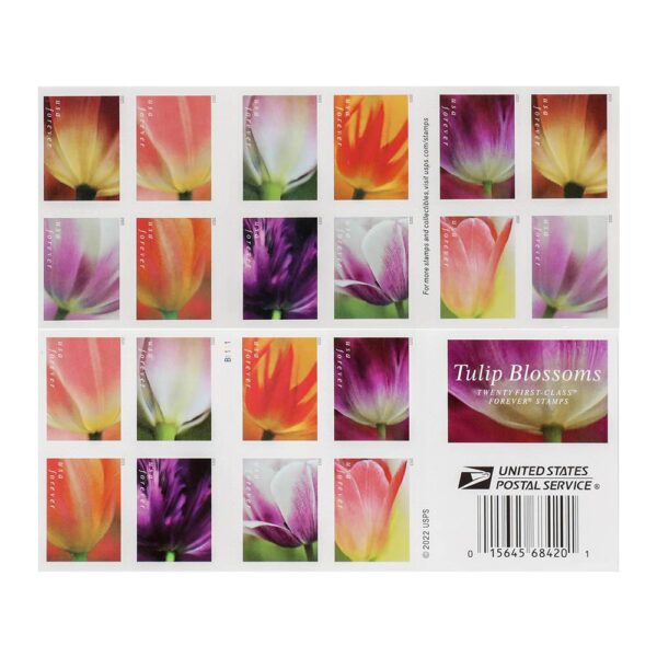 2023 US First-Class Forever Stamps – Tulip Blossoms booklet - Image 3