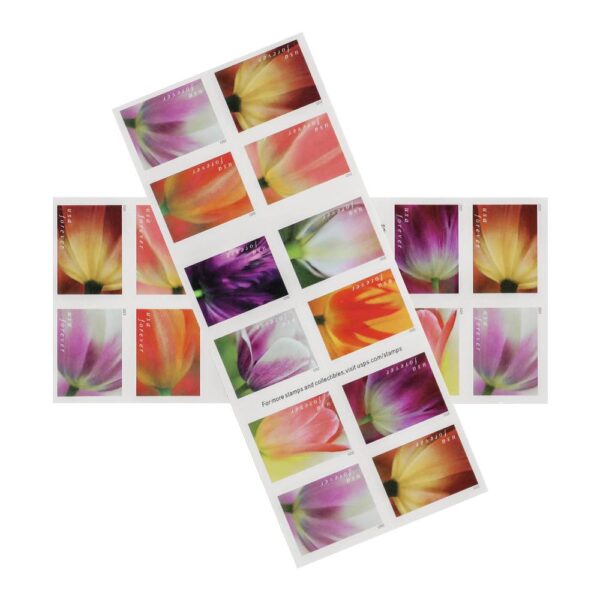 2023 US First-Class Forever Stamps – Tulip Blossoms booklet - Image 4