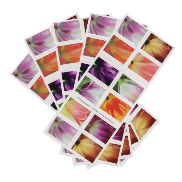 2023 US First-Class Forever Stamps – Tulip Blossoms booklet - Image 5