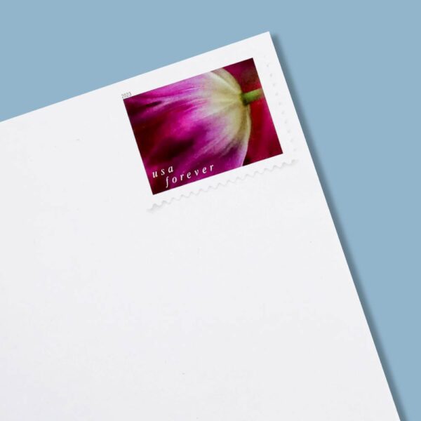 2023 US First-Class Forever Stamps – Tulip Blossoms booklet - Image 6