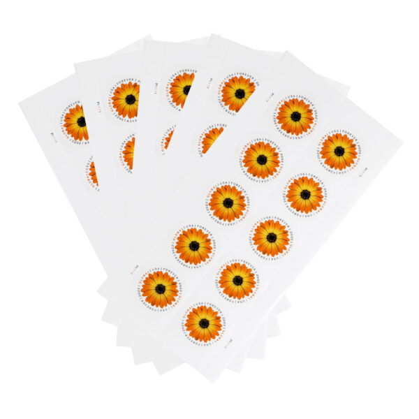 2018 US Global African Daisy Forever Stamps - Image 5