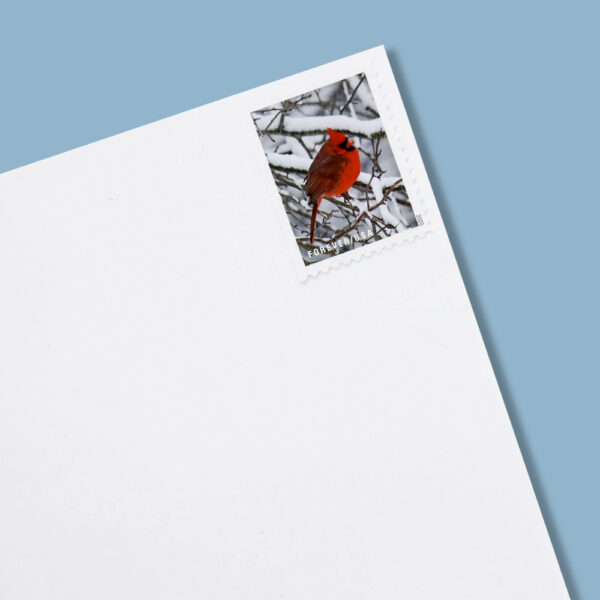 2020 US ‘Winter Scenes’ Forever Postage Stamps - Image 6