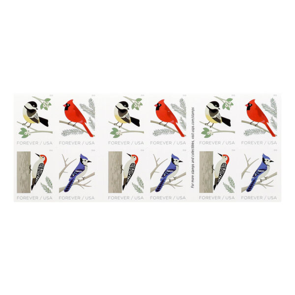 2018 US First-Class Forever Stamp – Birds in Winter - Image 2