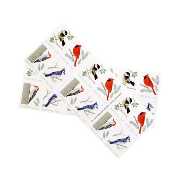 2018 US First-Class Forever Stamp – Birds in Winter - Image 4