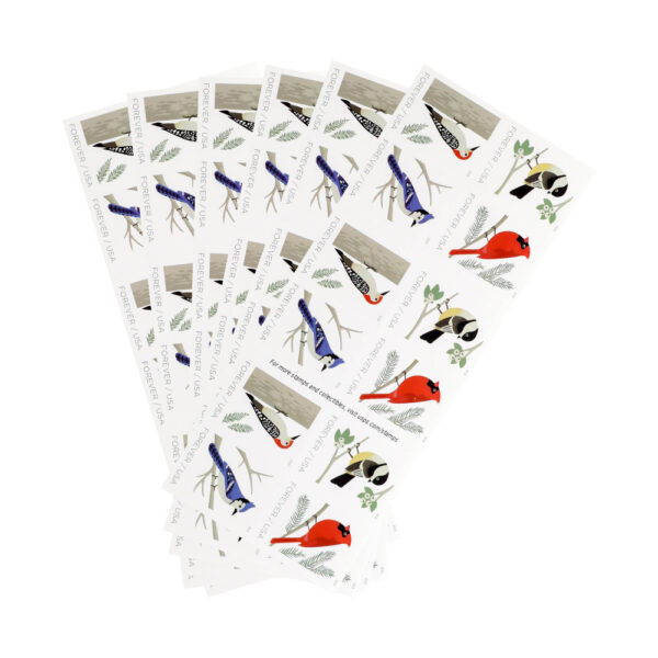 2018 US First-Class Forever Stamp – Birds in Winter - Image 5